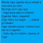 VIC DANA !!!CIGO I CIGANKA