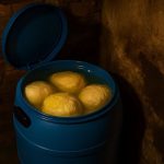 1 sastojak dodajte u kiseli kupus: Bit će žut kao dukat i neće se kvariti 1 sastojak dodajte u kiseli kupus: Bit će žut kao dukat i neće se kvariti - featured image