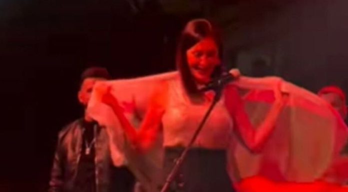 Ceca na koncertu u Sjevernoj Makedoniji zgrozila publiku: Evo šta se desilo Ceca na koncertu u Sjevernoj Makedoniji zgrozila publiku: Evo šta se desilo - featured image