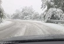 21.11.2025: Šta znači ako baš za Aranđelovdan padne snijeg? 21.11.2025: Šta znači ako baš za Aranđelovdan padne snijeg? - featured image