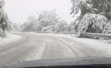 21.11.2025: Šta znači ako baš za Aranđelovdan padne snijeg? 21.11.2025: Šta znači ako baš za Aranđelovdan padne snijeg? - featured image