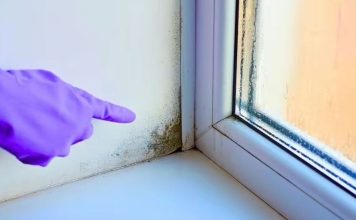 Stručnjak otkrio trik: Evo kako da vaši prozori ove zime ostanu suhi, bez vlage i plijesni Stručnjak otkrio trik: Evo kako da vaši prozori ove zime ostanu suhi, bez vlage i plijesni - featured image