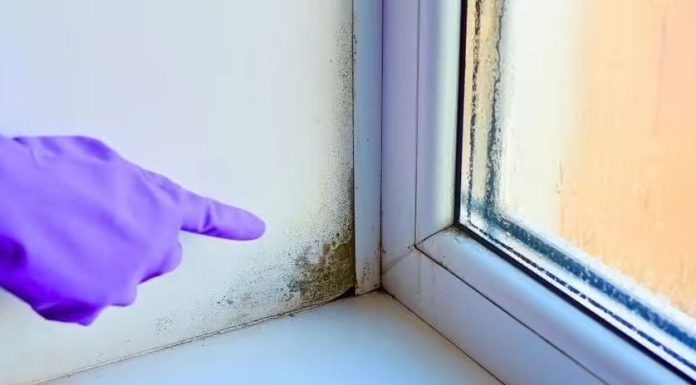 Stručnjak otkrio trik: Evo kako da vaši prozori ove zime ostanu suhi, bez vlage i plijesni Stručnjak otkrio trik: Evo kako da vaši prozori ove zime ostanu suhi, bez vlage i plijesni - featured image