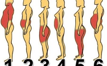 Od čega dolazi VAŠ problem s težinom i šta tačno napraviti: Pronađite svoj tip na ovoj mapi! Od čega dolazi VAŠ problem s težinom i šta tačno napraviti: Pronađite svoj tip na ovoj mapi! - featured image