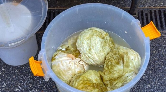 Ako se uhvati bijela skrama morate ga baciti? 3 najčešće greške zbog kojih se kiseli kupus pokvari Ako se uhvati bijela skrama morate ga baciti? 3 najčešće greške zbog kojih se kiseli kupus pokvari - featured image