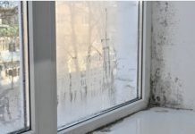 Moler otkrio kako da se riješite vlage i buđi: Dovoljna je samo jedna čašica ovog proizvoda Moler otkrio kako da se riješite vlage i buđi: Dovoljna je samo jedna čašica ovog proizvoda - featured image