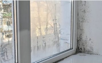 Moler otkrio kako da se riješite vlage i buđi: Dovoljna je samo jedna čašica ovog proizvoda Moler otkrio kako da se riješite vlage i buđi: Dovoljna je samo jedna čašica ovog proizvoda - featured image