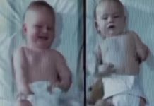 Ovaj eksperiment predstavlja najtužniju i najupečatljivija zapažanja u razvojnoj psihologiji. Ovaj eksperiment predstavlja najtužniju i najupečatljivija zapažanja u razvojnoj psihologiji. - featured image