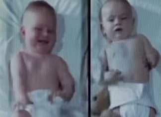 Ovaj eksperiment predstavlja najtužniju i najupečatljivija zapažanja u razvojnoj psihologiji. Ovaj eksperiment predstavlja najtužniju i najupečatljivija zapažanja u razvojnoj psihologiji. - featured image