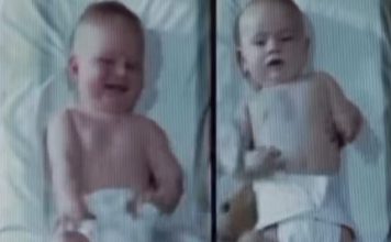 Ovaj eksperiment predstavlja najtužniju i najupečatljivija zapažanja u razvojnoj psihologiji. Ovaj eksperiment predstavlja najtužniju i najupečatljivija zapažanja u razvojnoj psihologiji. - featured image