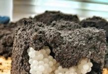 Šta Otkrivaju Bele Kuglice U Zemlji I Kako Zaštititi Svoju Baštu Šta Otkrivaju Bele Kuglice U Zemlji I Kako Zaštititi Svoju Baštu - featured image