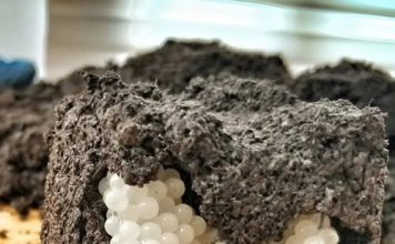 Šta Otkrivaju Bele Kuglice U Zemlji I Kako Zaštititi Svoju Baštu Šta Otkrivaju Bele Kuglice U Zemlji I Kako Zaštititi Svoju Baštu - featured image