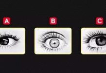 Koje oko pokazuje bes? Test otkriva ko ste i kakvi ste i da li nešto može da promakne vašoj intuiciji Koje oko pokazuje bes? Test otkriva ko ste i kakvi ste i da li nešto može da promakne vašoj intuiciji - featured image