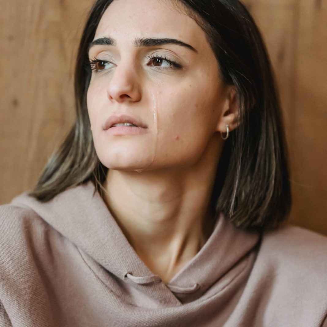 Došla je po ostatke hrane – ali ono što je vlasnik otkrio promenilo mu je život - featured image