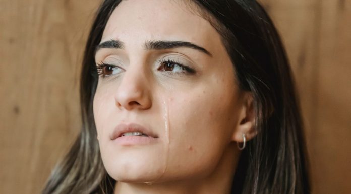 Došla je po ostatke hrane – ali ono što je vlasnik otkrio promenilo mu je život Došla je po ostatke hrane – ali ono što je vlasnik otkrio promenilo mu je život - featured image