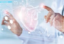 KARDIOLOZI TVRDE DA NORMALAN PRITISAK NIJE 120 SA 80, VEĆ OVAJ: Broj koji MORATE ZNATI, svi smo GREŠILI u merenju KARDIOLOZI TVRDE DA NORMALAN PRITISAK NIJE 120 SA 80, VEĆ OVAJ: Broj koji MORATE ZNATI, svi smo GREŠILI u merenju - featured image