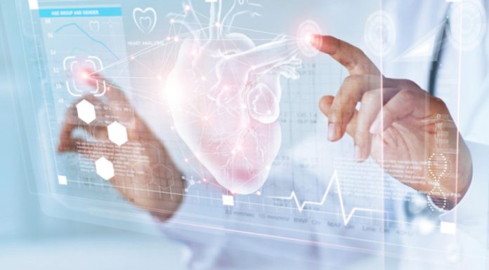 KARDIOLOZI TVRDE DA NORMALAN PRITISAK NIJE 120 SA 80, VEĆ OVAJ: Broj koji MORATE ZNATI, svi smo GREŠILI u merenju KARDIOLOZI TVRDE DA NORMALAN PRITISAK NIJE 120 SA 80, VEĆ OVAJ: Broj koji MORATE ZNATI, svi smo GREŠILI u merenju - featured image