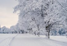 Jedna mala pomoć na putu dovela je do velikog iznenađenja Jedna mala pomoć na putu dovela je do velikog iznenađenja - featured image