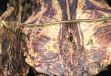 Kupio pokvareno suho meso: Kada vidite kakvo je unutra, zgrozit ćete se Kupio pokvareno suho meso: Kada vidite kakvo je unutra, zgrozit ćete se - featured image