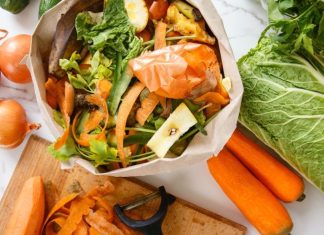 Domaćice u Srbiji ovo smatraju đubretom, a u Francuskoj je to pravo blago: Koriste ga kao glavni sastojak za supe i čorbe Domaćice u Srbiji ovo smatraju đubretom, a u Francuskoj je to pravo blago: Koriste ga kao glavni sastojak za supe i čorbe - featured image