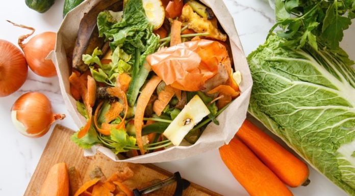 Domaćice u Srbiji ovo smatraju đubretom, a u Francuskoj je to pravo blago: Koriste ga kao glavni sastojak za supe i čorbe Domaćice u Srbiji ovo smatraju đubretom, a u Francuskoj je to pravo blago: Koriste ga kao glavni sastojak za supe i čorbe - featured image