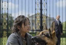 Čudesna snaga ljubavi: Kako je mala devojčica ukrotila psa i promenila sudbinu milijardera Čudesna snaga ljubavi: Kako je mala devojčica ukrotila psa i promenila sudbinu milijardera - featured image