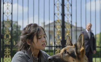 Čudesna snaga ljubavi: Kako je mala devojčica ukrotila psa i promenila sudbinu milijardera Čudesna snaga ljubavi: Kako je mala devojčica ukrotila psa i promenila sudbinu milijardera - featured image