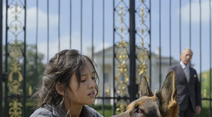 Čudesna snaga ljubavi: Kako je mala devojčica ukrotila psa i promenila sudbinu milijardera Čudesna snaga ljubavi: Kako je mala devojčica ukrotila psa i promenila sudbinu milijardera - featured image