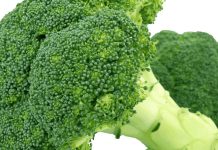 Priča o zmiji u brokuli Priča o zmiji u brokuli - featured image