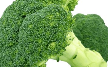 Priča o zmiji u brokuli Priča o zmiji u brokuli - featured image