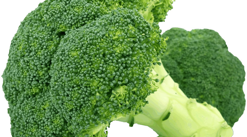 Priča o zmiji u brokuli - featured image Priča o zmiji u brokuli - featured image