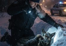 Kada je svijet prošao dalje, on je stao: Štene koje je promijenilo jednu novogodišnju noć Kada je svijet prošao dalje, on je stao: Štene koje je promijenilo jednu novogodišnju noć - featured image