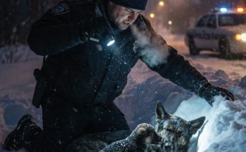 Kada je svijet prošao dalje, on je stao: Štene koje je promijenilo jednu novogodišnju noć Kada je svijet prošao dalje, on je stao: Štene koje je promijenilo jednu novogodišnju noć - featured image