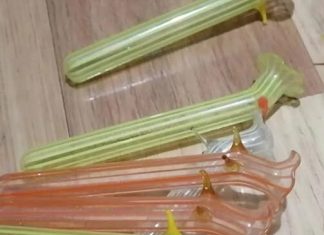 Pronašla sam neobičan predmet u bakinim kuhinjskim ormarićima i otkrila zaboravljenu priču o eleganciji Pronašla sam neobičan predmet u bakinim kuhinjskim ormarićima i otkrila zaboravljenu priču o eleganciji - featured image