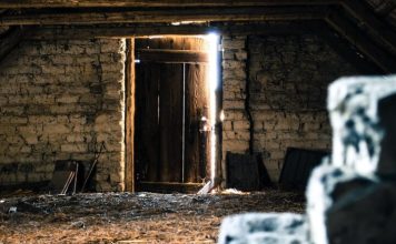 Šokantno otkriće na tavanu: kako je jedan porodični problem otkrio tajnu skrivanu godinama Šokantno otkriće na tavanu: kako je jedan porodični problem otkrio tajnu skrivanu godinama - featured image