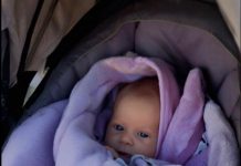 Priča je o ljubavi koja pobedjuje, Priča je o ljubavi koja pobedjuje, - featured image