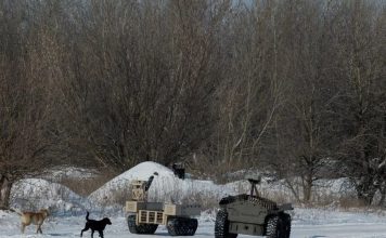 Šokantno otkriće! Psi u ukrajini više nisu isti: 1 stvar najviše iznenađuje Šokantno otkriće! Psi u ukrajini više nisu isti: 1 stvar najviše iznenađuje - featured image