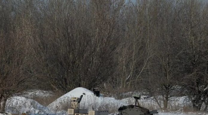 Šokantno otkriće! Psi u ukrajini više nisu isti: 1 stvar najviše iznenađuje Šokantno otkriće! Psi u ukrajini više nisu isti: 1 stvar najviše iznenađuje - featured image