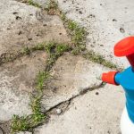 Najbolji domaći sprej za korov: Samo pomiješajte ova tri sastojka iz kuhinje Najbolji domaći sprej za korov: Samo pomiješajte ova tri sastojka iz kuhinje - featured image