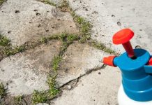 Najbolji domaći sprej za korov: Samo pomiješajte ova tri sastojka iz kuhinje Najbolji domaći sprej za korov: Samo pomiješajte ova tri sastojka iz kuhinje - featured image