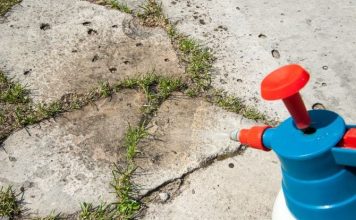 Najbolji domaći sprej za korov: Samo pomiješajte ova tri sastojka iz kuhinje Najbolji domaći sprej za korov: Samo pomiješajte ova tri sastojka iz kuhinje - featured image