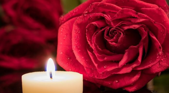 Ruže koje je ostavio na njenom grobu, nestajale su Ruže koje je ostavio na njenom grobu, nestajale su - featured image