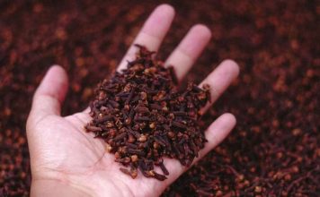 Stavite karanfilić večeras na vrata kupatila: Preko noći riješit ćete problem koji vas godinama muči Stavite karanfilić večeras na vrata kupatila: Preko noći riješit ćete problem koji vas godinama muči - featured image