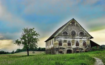 Milioner i devojčica koja je pokazala da dostojanstvo ne može da se kupi Milioner i devojčica koja je pokazala da dostojanstvo ne može da se kupi - featured image