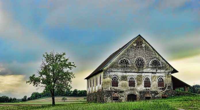 Milioner i devojčica koja je pokazala da dostojanstvo ne može da se kupi Milioner i devojčica koja je pokazala da dostojanstvo ne može da se kupi - featured image