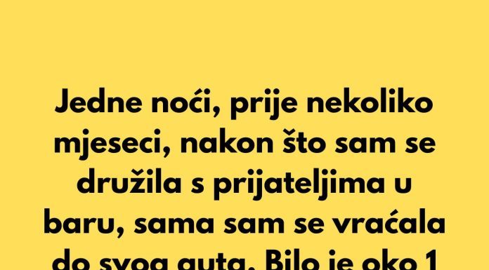 Jedne noći, prije nekoliko mjeseci, nakon što sam se družila s prijateljima u baru, sama sam se vraćala do svog auta.
