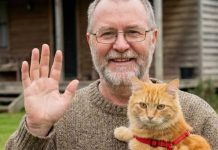 Moj komšija je nestao nakon što mi je povjerio svog mačka – a istina koju sam otkrila promijenila je moj život iz temelja