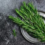 Ruzmarin i mačka u kući: Odmah na ovo obratite pažnju
