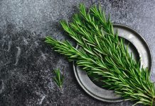 Ruzmarin i mačka u kući: Odmah na ovo obratite pažnju