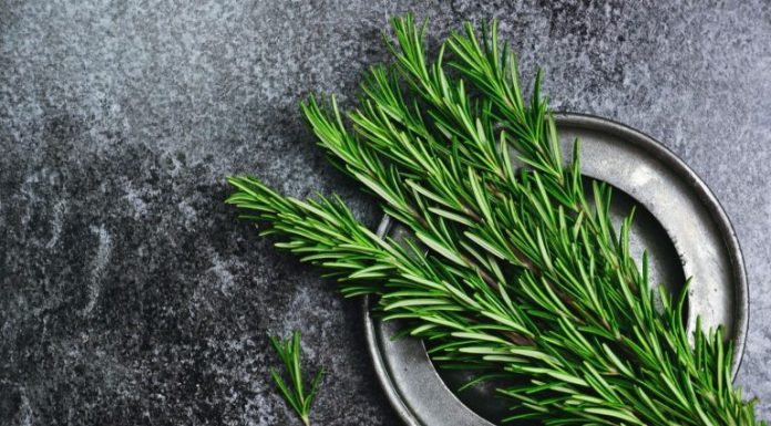 Ruzmarin i mačka u kući: Odmah na ovo obratite pažnju